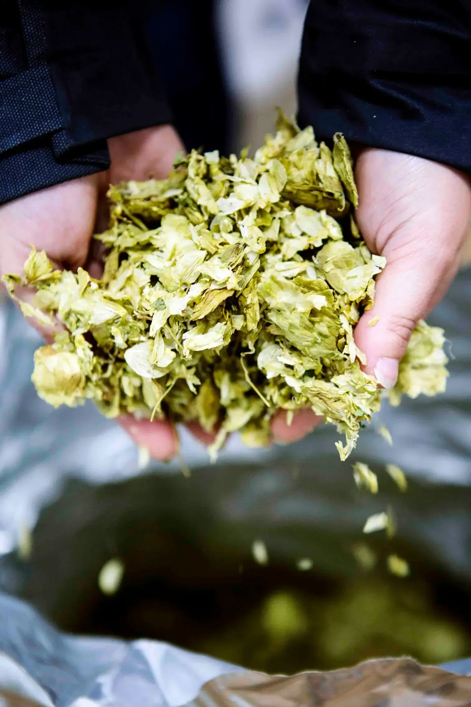 the-january-project-shop-small-handmade-gifts-Peak Ales-gallery-one the-january-project-shop-small-handmade-gifts-Peak Ales-gallery-one